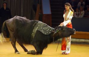 Гастроли Московского цирка во Львове