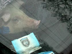 Youth organization ”Proryv”