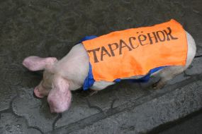 Youth organization ”Proryv”