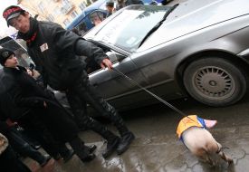 Youth organization ”Proryv”