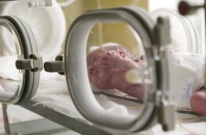 Surrogate maternity