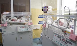 Surrogate maternity