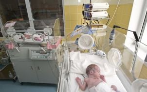 Surrogate maternity