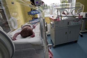 Surrogate maternity
