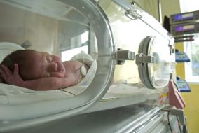Surrogate maternity
