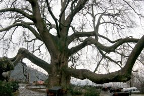 Туреччина. Бурса - колишня столиця Османської імперії