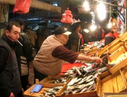 Туреччина. Бурса - колишня столиця Османської імперії