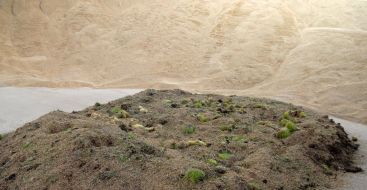 Grain complex ”Trans Invest Service”