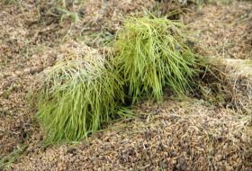 Grain complex ”Trans Invest Service”