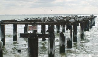 Geography. Odessa coast
