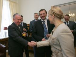 Meeting of Timoshenko with ambassadors of European Union countries