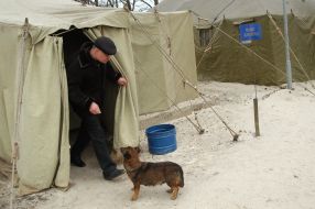 Liquidation of ammunitions in Novobohdanovka
