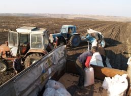 Сельское хозяйство. Полевые работы