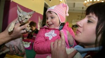 Выставка котов во Львове