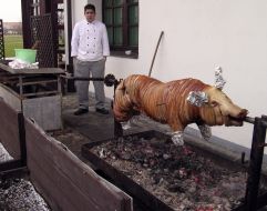 Genre photos. Sucking-pig on spit