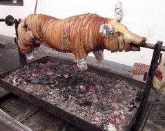 Genre photos. Sucking-pig on spit