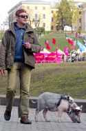 Feature. Pig on a leash