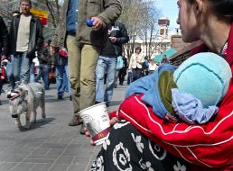 Feature. Pig on a leash