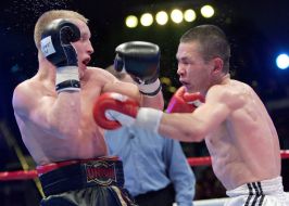 Спорт. Бокс