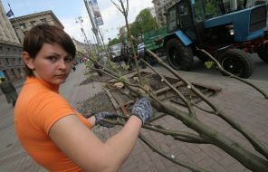 Planting of greenery in Kiev