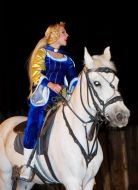 Спектакль под открытым небом ”Тарас Бульба”