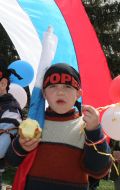 Action ”In every window is the Russian flag!”