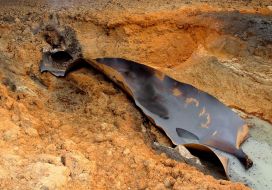 Взрыв на газопроводе ”Уренгой-Помары-Ужгород”