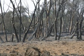 Взрыв на газопроводе ”Уренгой-Помары-Ужгород”