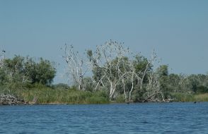 Острови Каховського водосховища