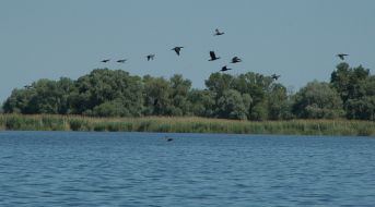 Острови Каховського водосховища