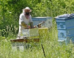Monastery Safroniyevskaya pustyn