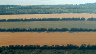 Odessa region