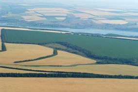Odessa region