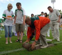 Auction. Sale of lawn from a stadium ”Ukraine”