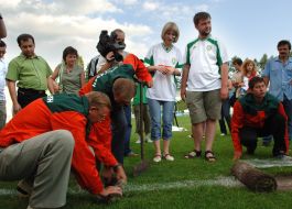 Auction. Sale of lawn from a stadium ”Ukraine”