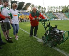 Auction. Sale of lawn from a stadium ”Ukraine”