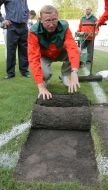 Auction. Sale of lawn from a stadium ”Ukraine”