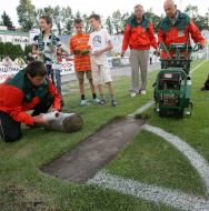 Auction. Sale of lawn from a stadium ”Ukraine”