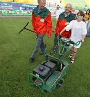 Auction. Sale of lawn from a stadium ”Ukraine”