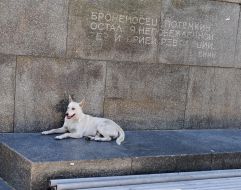 Meeting against setting of monument to Catherine II in Odessa