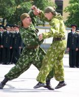 Рукопашный бой
