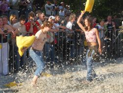 Бои подушками