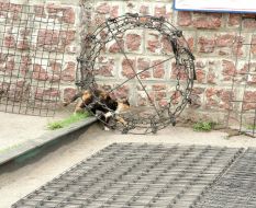 Исправительная колония