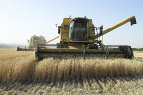 Сбор урожая зерновых