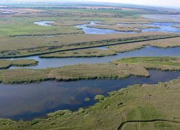 Дністровський лиман