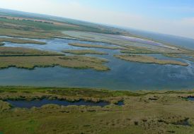 Дністровський лиман