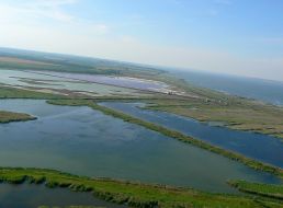 Дністровський лиман