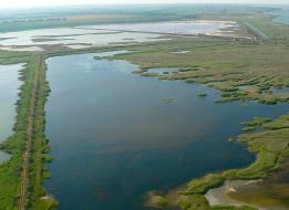 Дністровський лиман