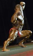Bodybuilding Tournament