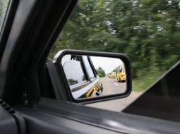 Invigoration childrens from Lvovskoy oblasti